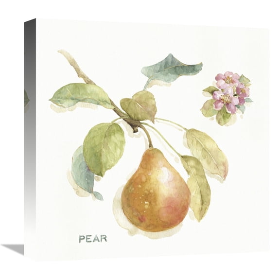 Global Gallery's 'Orchard Bloom II' By Lisa Audit Stretched Canvas Wall Art