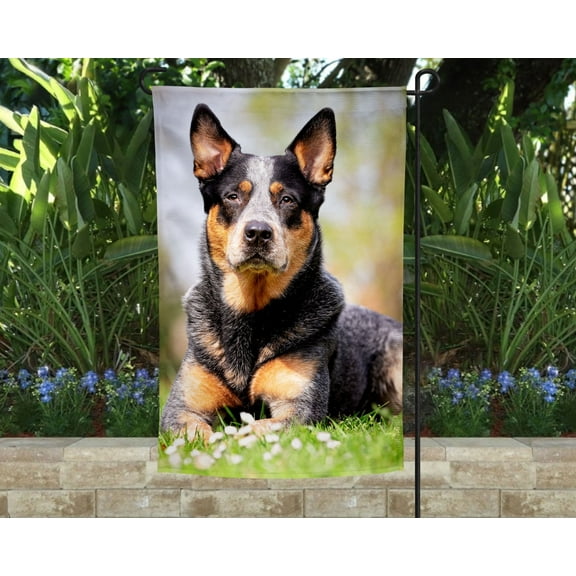 Australian Cattle Dog Garden Flag
