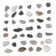 Washington School Student Rock Collection