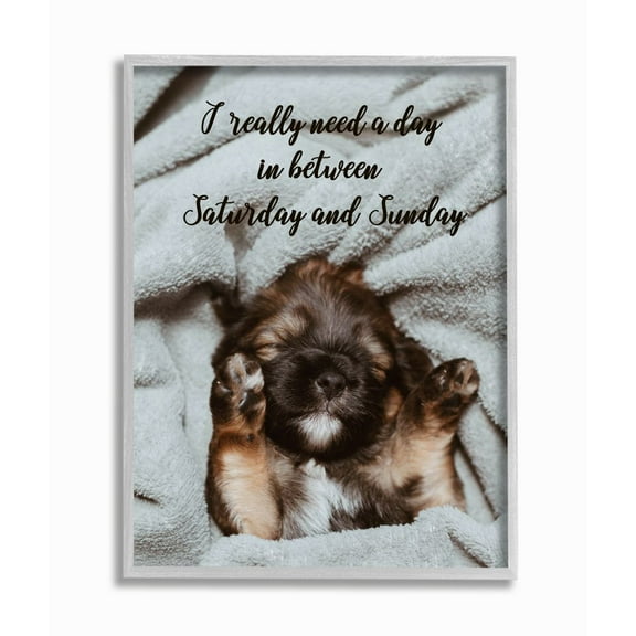 Stupell Industries Three Day Weekend Phrase Funny Puppy Pet Humor Framed Wall Art Design by Ziwei Li, 11" x 14", Gray Framed