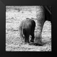 thumbnail image 2 of Aledanda 15x15 Black Modern Framed Museum Art Print Titled - Mama and Baby Elephant II, 2 of 5