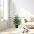 thumbnail image 2 of 2FT Artificial Norfolk Pine Christmas Tree Real Touch Faux Tree with Black Pot, Realistic Indoor Holiday Decor for Christmas Entryway, Living Room & Office, 2 of 8