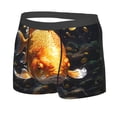 thumbnail image 2 of Balery Golden Koi And Treasure Men's Boxer Briefs, Soft and Breathable Cotton Underwear with nylon Waistband-X-Large, 2 of 9