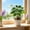Green-A, variant on Artificial Ficus Bonsai Tree - Fake Potted Plants for Indoor Home Decor - Plastic Greenery Tabletop Ornament - Small HousePlants for Office Shelf Desk Living Room - 10 Inch Artificial Plants
