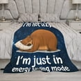 thumbnail image 6 of Yibo Panda Gifts for Girls Boys Blanket Flannel Soft and Comfortable Anti-static Bed Sofa Blanket, 6 of 9