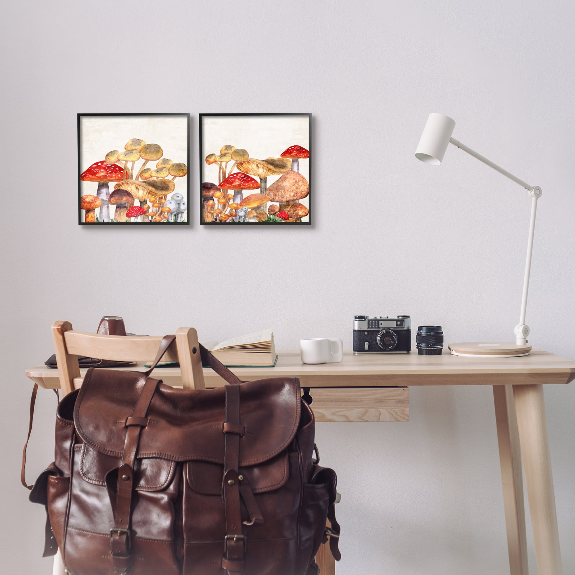 Stupell Industries Various Cottage Mushrooms Botanical & Floral Painting Black Framed Art Print Wall Art, 12 x 12, Set of 2