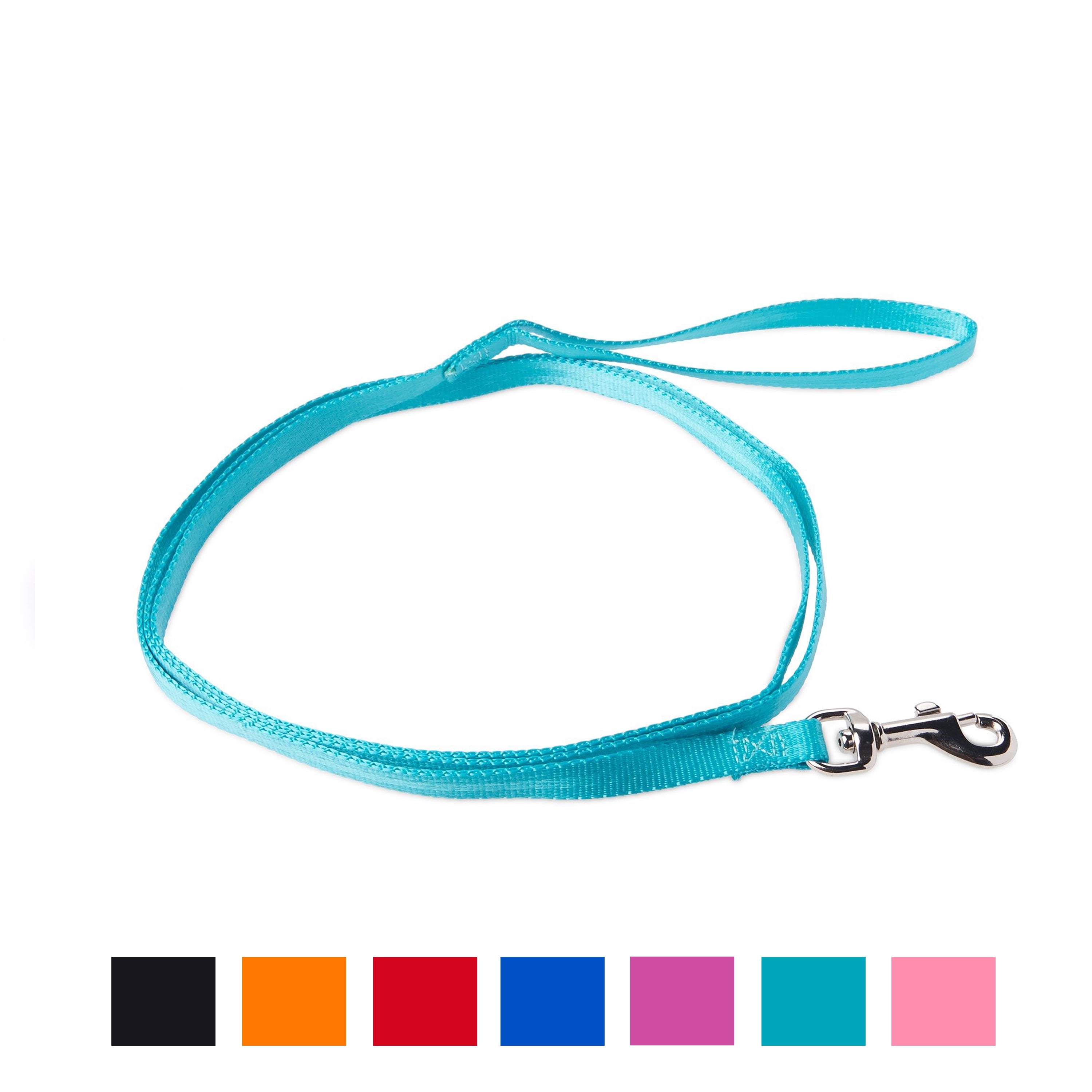 Vibrant Life Solid Nylon Dog Leash Teal Small 5 ft 3 8 in Walmart Vibrant life solid nylon dog leash teal small 5 ft 3 8 in walmart