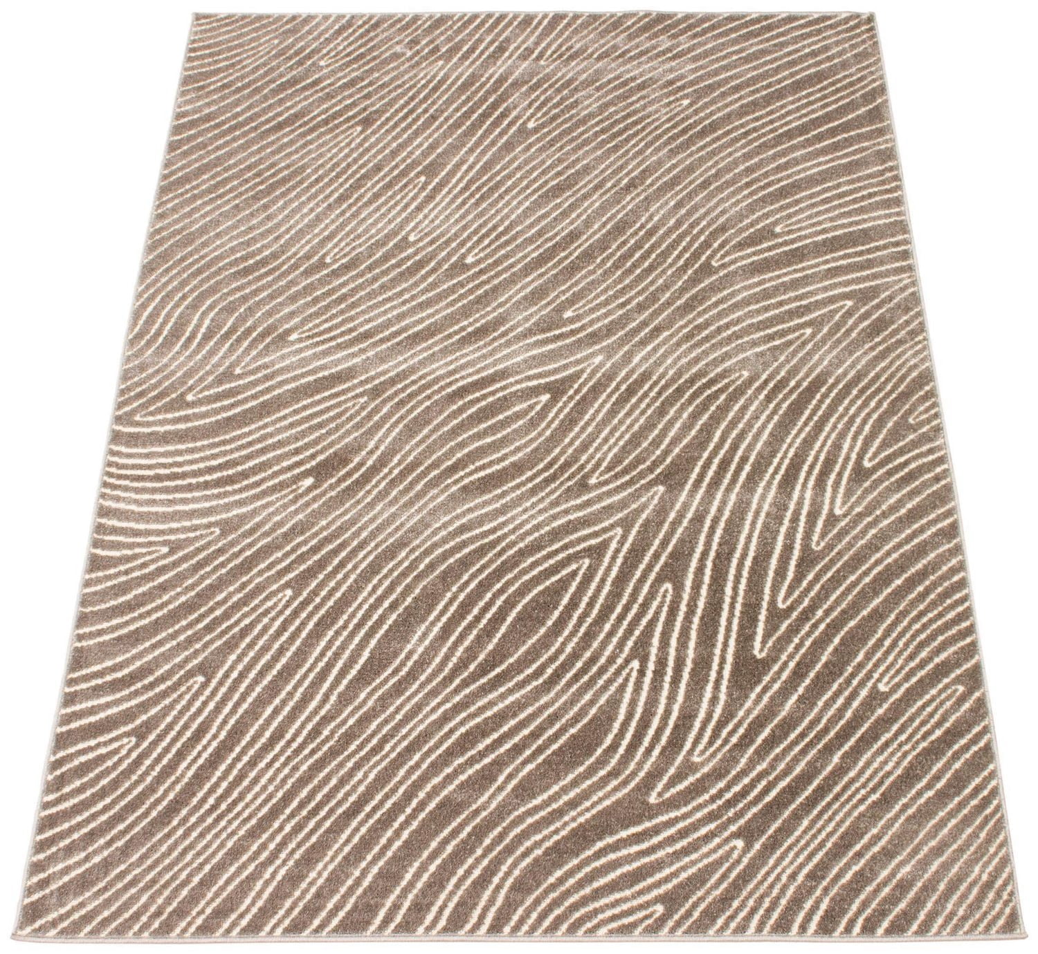 ECARPET Modern Area Rug for Dining Room, Living Room, Bedroom or Den Vector Taupe