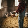 thumbnail image 5 of Control Solutions Martin's Pen & Poultry Insecticide Spray, 32 oz, 5 of 6