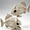 2PCS Fish Skeleton, variant on Joyfy Halloween Skeleton Fish Skeleton Halloween Decor,Plastic Skeleton with LED Eye for Halloween Decoration Outdoor Haunted House Party