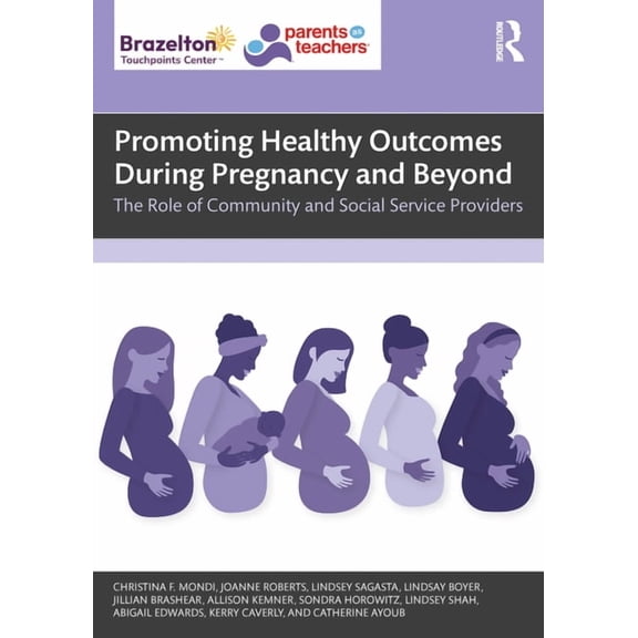 Promoting Healthy Outcomes During Pregnancy and Beyond: The Role of Community and Social Service Providers, (Paperback)