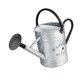 thumbnail image 5 of Regadera de metal con boquilla extraíble, moderna herramienta de jardinería, botella de riego para patio, granja de bonsáis., 5 of 8