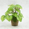 thumbnail image 3 of Mini Artificial Potted Plants Set Realistic Tropical Monstera Ivy UV Resistant Faux Mini Potted Greenery Leaves Plants Indoor for Home Office Desk Shelf Bathroom Jungle Hawaiian Party Décor Gifting, 3 of 9