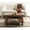 Walnut Brown, variant on Kate and Laurel Foxford Modern Tiered Rectangle Coffee Table, 36 x 20 x 19, Walnut Brown, Transitional Rectangular Two-Tier Living Room Table with Storage Shelf and Resilient Wood Construction