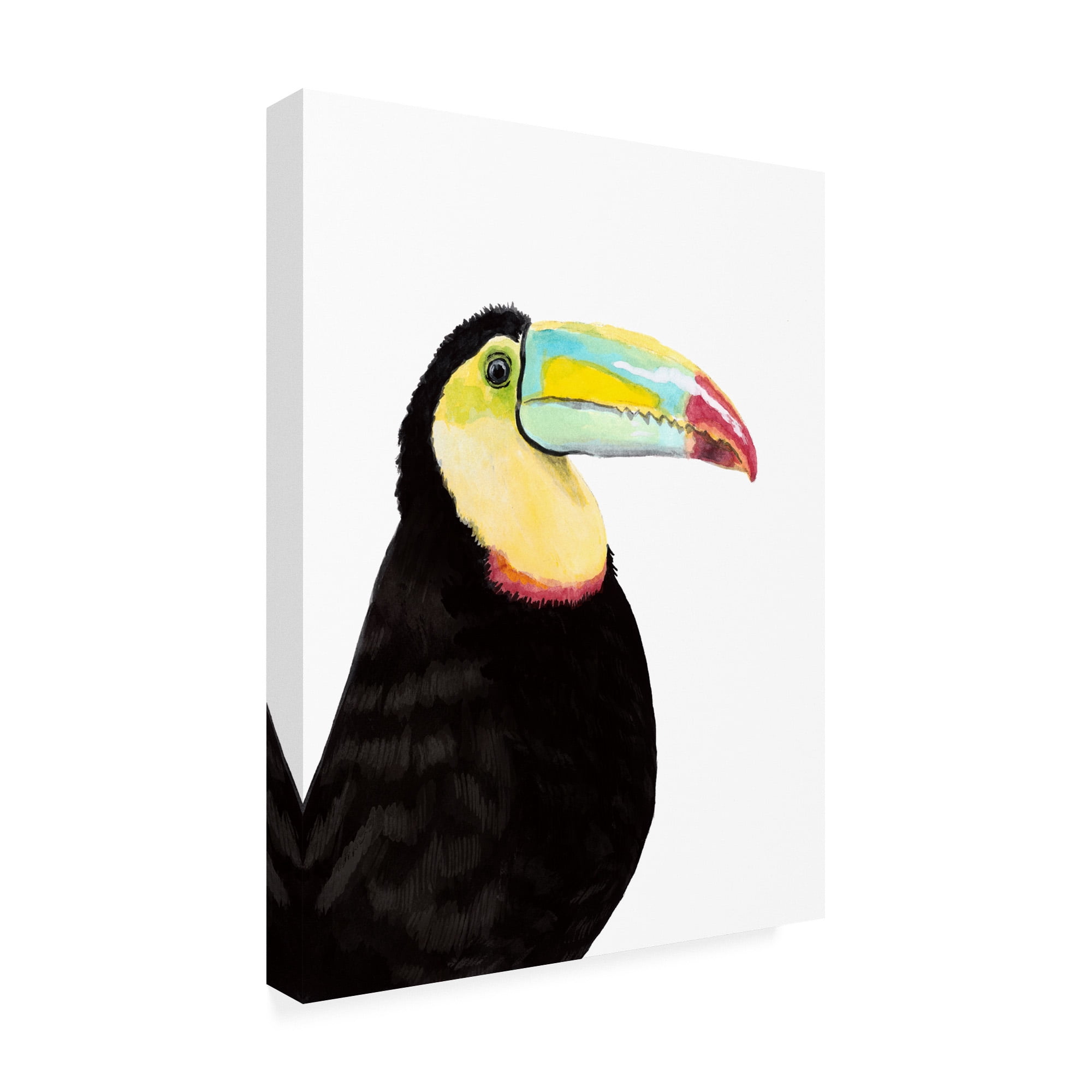 Trademark Fine Art 'Watercolor Toucan' Canvas Art by Naomi McCavitt