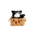 thumbnail image 5 of Lovely Box Cartoon Cat Miniature Landscape Decor Bonsai Resin Crafts Ornament by Mightlink, 5 of 5