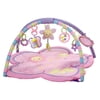 Bright Starts Bs Charming Chirps Activity Gym