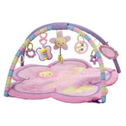 Bright Starts Bs Charming Chirps Activity Gym
