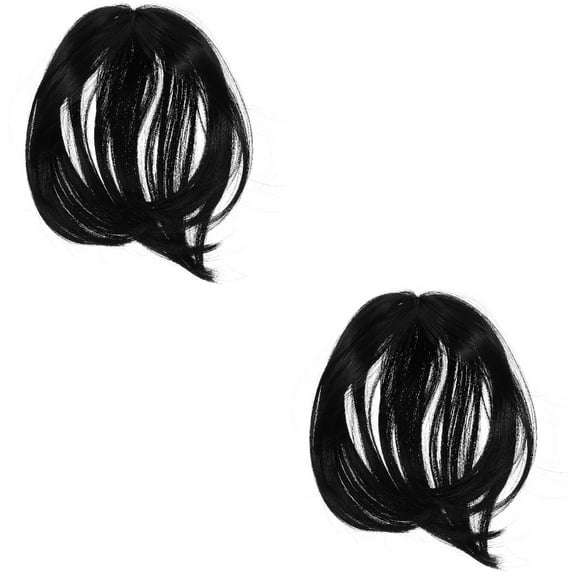 Raindrops 2pcs Hair Volume Topper Straight Wig Synthetic Hair Piece Women Hairpiece Wiglet