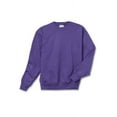 thumbnail image 2 of Hanes Boys EcoSmart Fleece Crew Neck Sweatshirt, Sizes XS-XL, 2 of 4