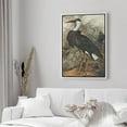 thumbnail image 3 of PixonSign Framed Canvas Print Wall Art Fine Art Tropical Swamp Heron Bird Nature Wilderness Illustrations Modern Art Botanical Floral Farmhouse/Country Relax/Calm/Cozy - 24"x36" White, 3 of 5