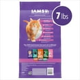 thumbnail image 6 of Iams Proactive Health Chicken Dry Cat Food For Kittens, 7 Lb Bag, 6 of 18