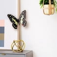 thumbnail image 7 of Yeetfub 2024 Thick Peel And Stick Backsplash Clearance Home 3D Butterfly Wall Decor Birthdays Parties Cake Decal Weddings Kids Bedroom Oversized Butterfly Wall Decoration, 7 of 7