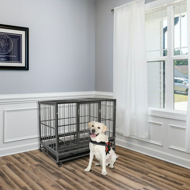 Dog crates walmart clearance canada