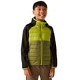 thumbnail image 4 of Regatta Boys/Girls Kielder IX Hybrid Jacket, 4 of 5