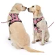 thumbnail image 2 of Pecheras Para Perros Con Correa Y Cinturón De Seguridad, 2 of 8