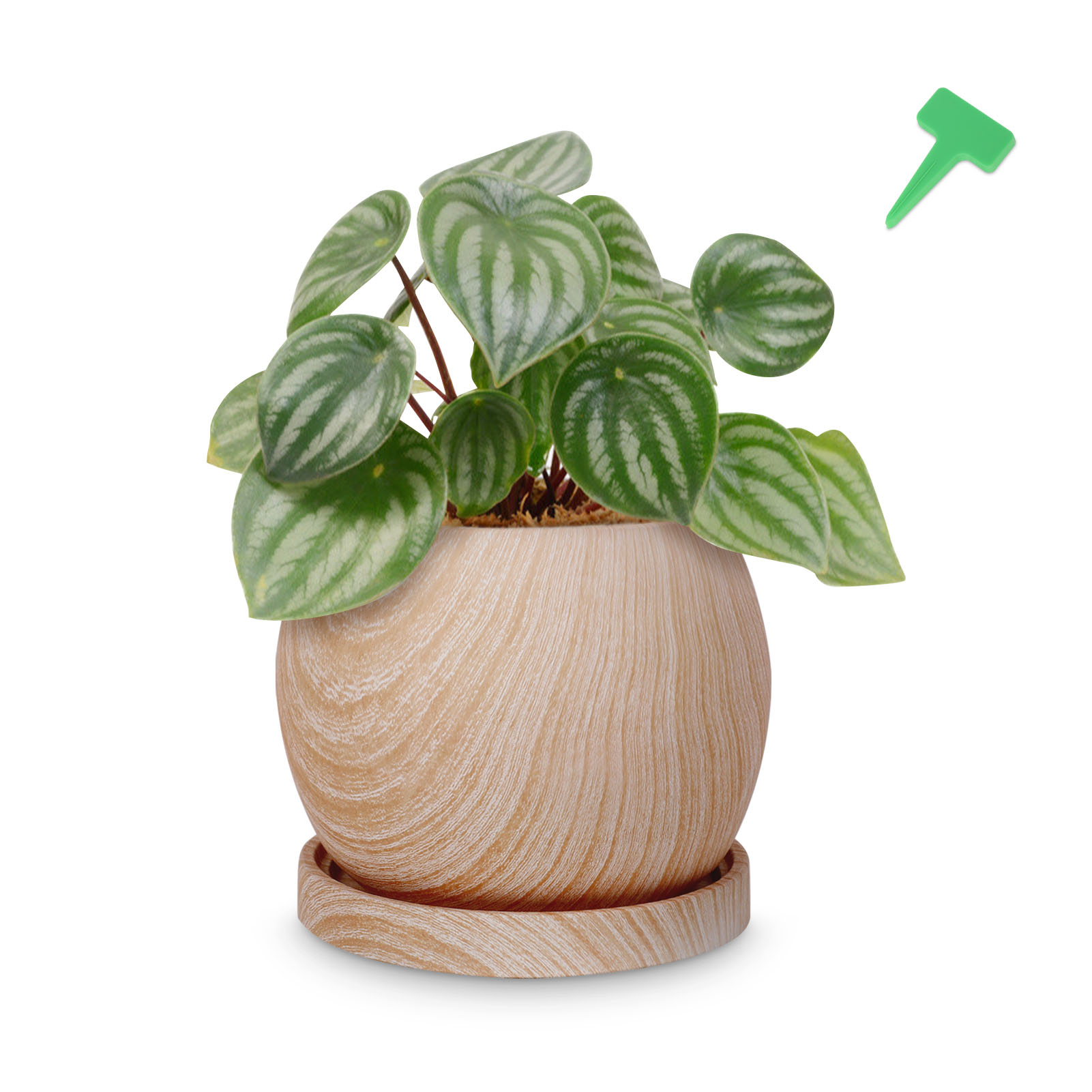 Indoor Planters Home & Living Green planter pot with attached drainage