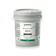 ColorPlace Ultra Premium Exterior Paint & Primer, Semi-Gloss, Accent Base, 1 Gallon