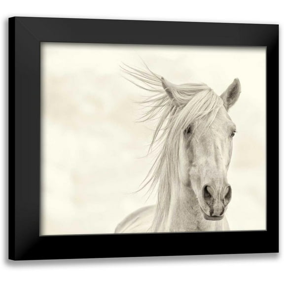 PHBurchett 14x12 Black Modern Framed Museum Art Print Titled - Wind Blown Mane I