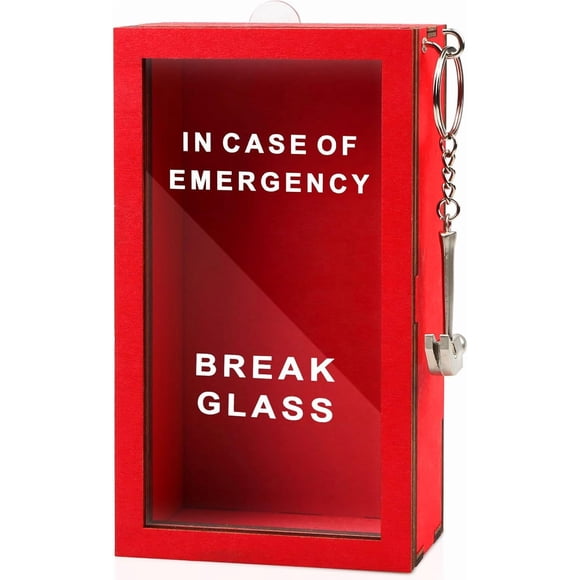WenmthG Funny Gift Emergency Box - Create Self Defined Idea Jar w/Hammer, Break in Case of Emergency Box - Desk Decor - Personalized Gag Gift for Friends Coworkers