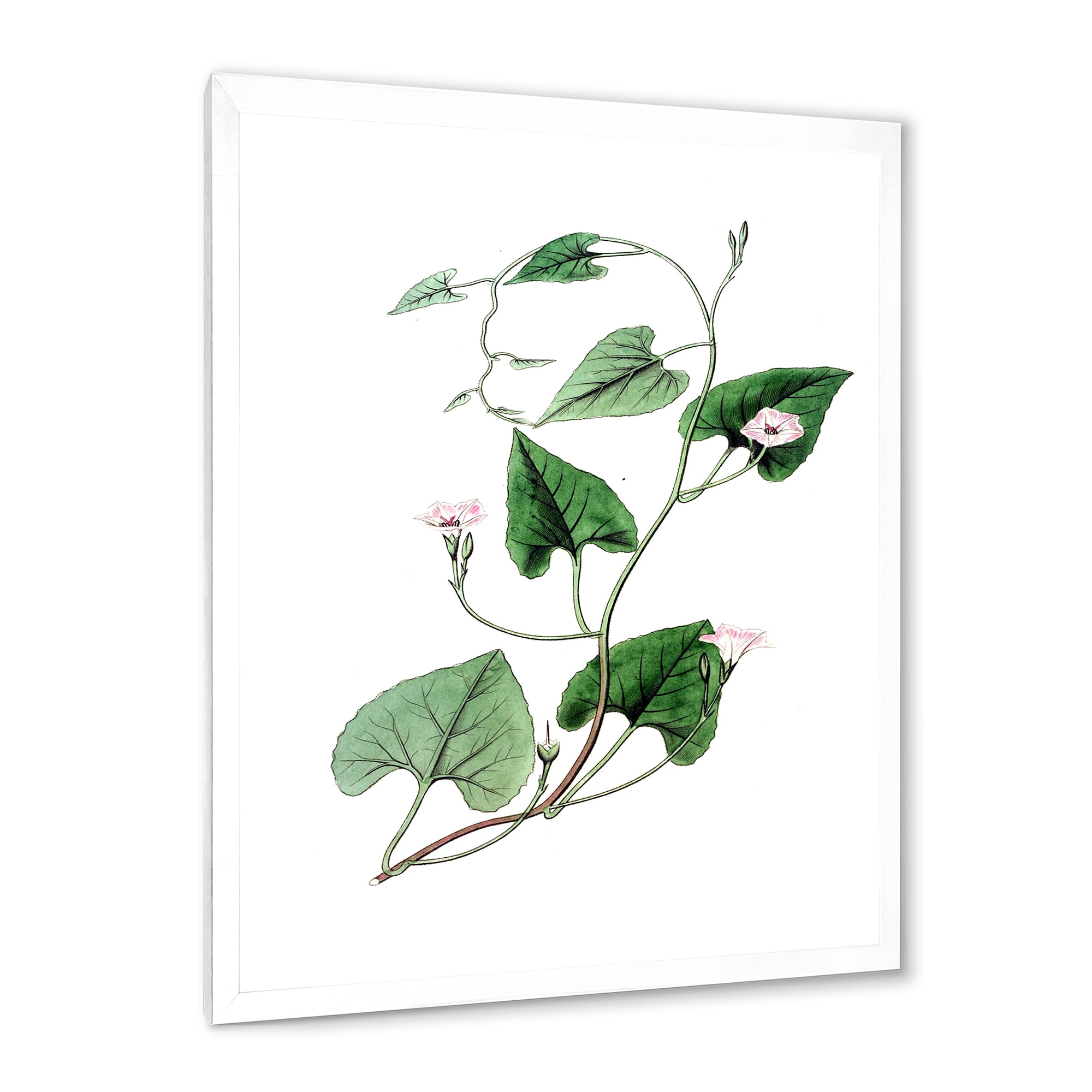 Designart 'Ancient Green Leaves Plants IX' Traditional Framed Art Print