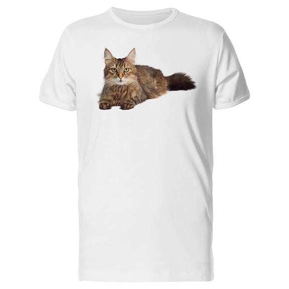 Tabby Cat Looking At Camera Tee Men's -Image by Shutterstock