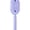 Blue  #B, variant on 2026 New Electric Steam Brush, Electric Steam Brushs for Hair, Rechargeable Steam Hair Straightener, Detangling Steam Brush for Short Hair, Reduce Frizz, Nourishes Hairs, Anti-Static