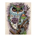 thumbnail image 1 of Doodle Hibou - Peinture Diamant DIY, 1 of 6
