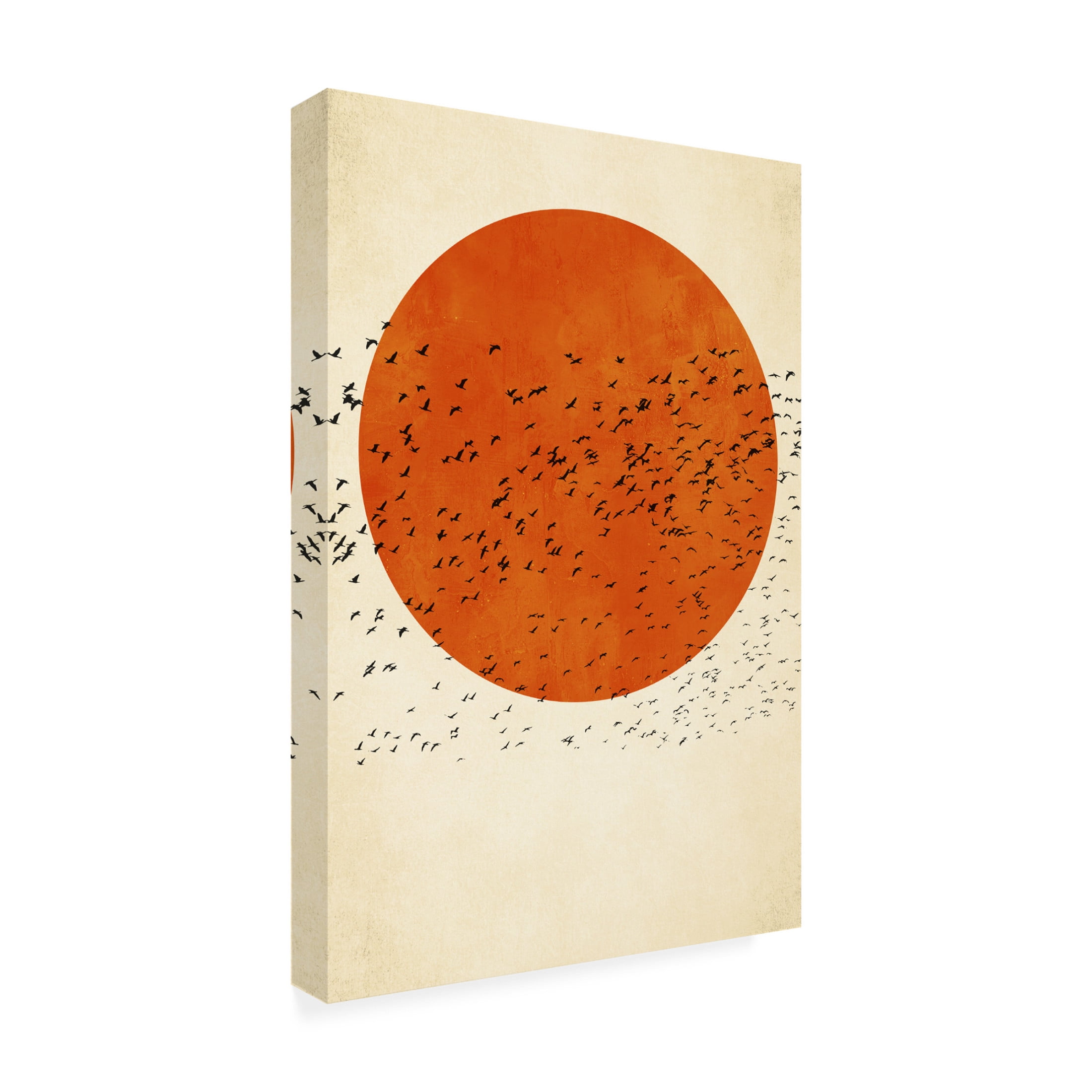 Trademark Fine Art Kubistika   Birds In the Sun Canvas Wall Art