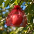 thumbnail image 3 of 100pcs Fruit Protection Bags, Fruit Bags for Fruit Trees, Green Netting Fruit Cover Bags Drawstring Mesh Fruit Protectors Pest Barrier for Fruit Trees Veggies Garden, Wine Red 2.76x3.54in, 3 of 6