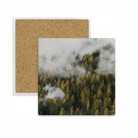 

Forest Mountain Fog Mist Cloud Autumn Square Coaster Cup Mat Mug Subplate Holder Insulation Stone