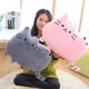 thumbnail image 5 of Bewildely Almohada de felpa de gato de alta elasticidad, juguete suave para niños, galleta, muñeco de gato de felpa, regalo Kawaii, el mejor Animales de peluche y juguetes de peluche, 5 of 5