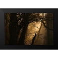 thumbnail image 2 of Maier, Norbert 18x13 Black Modern Framed Museum Art Print Titled - Colors Of Fall, 2 of 5