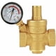 thumbnail image 1 of Reductor de presión de agua ajustable de latón Dinheiro DN20 con manómetro, reductor de presión de agua ajustable de latón (DN20), 1 of 5