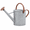 Zinc, variant on PLERISE 1 Gallon Metal Watering Can, 4L Zinc Garden Watering Can with Removable Spout and Durable Side Handle for Indoor Outdoor Plants, Gray