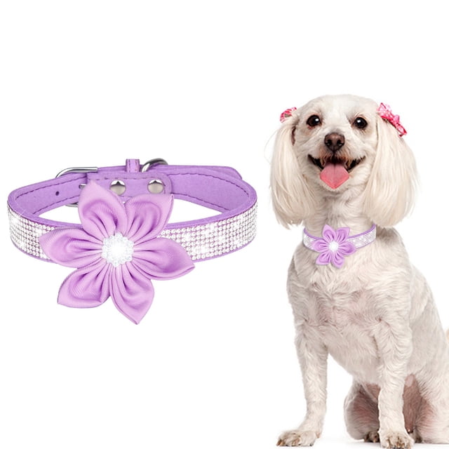 Pet Collar Shiny Rhinestones Dog Collar Small And Medium Sized Dog Leash Microfiber Cat Collar Soft Organic Dog Small Dogs