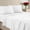 02 - White, variant on King Size 4 Piece Sheet Set - Brushed Microfiber - Soft Bed Sheets for King Size Bed - Includes 1 Fitted, 1 Flat, & 2 Pillow Cases - Deep Pocket Beige
