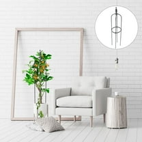 Worgeous  Pergola Plant Trellis Gardening Climbing Shelf Vines Plants Black