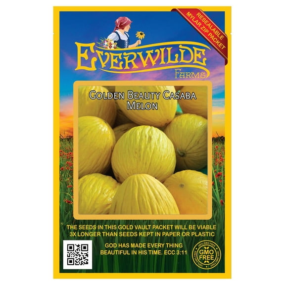 Everwilde Farms - 50 Golden Beauty Casaba Melon Seeds - Gold Vault Jumbo Bulk Seed Packet