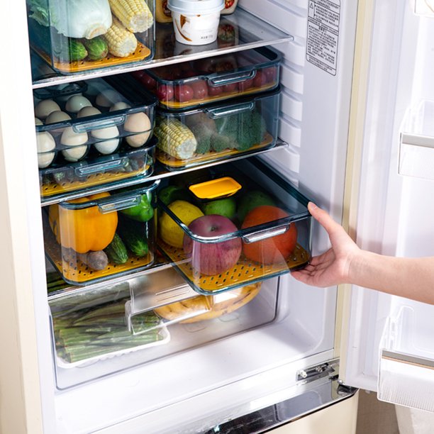 SPRING PARK Fridge Food Storage Containers Produce Saver Fresh Works